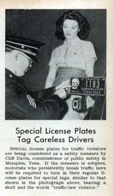 lrg_carless_license_plate.jpg