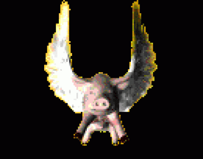 svin2.gif (13.8 КБ) 1505 просмотров svin2.gif