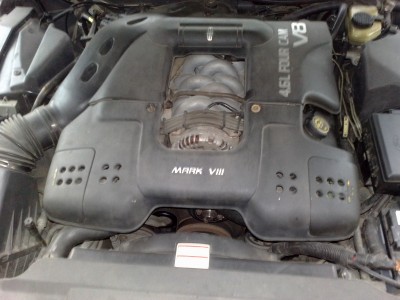 280220101087.jpg