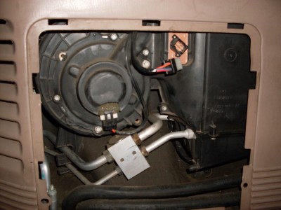 SDC10556.JPG