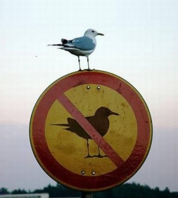 Photopodborka_040.jpg (23.74 КБ) 1931 просмотр Photopodborka_040.jpg