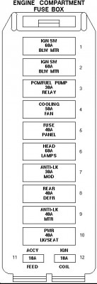 Untitled-1.jpg