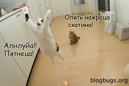 file64183_0_0.jpg