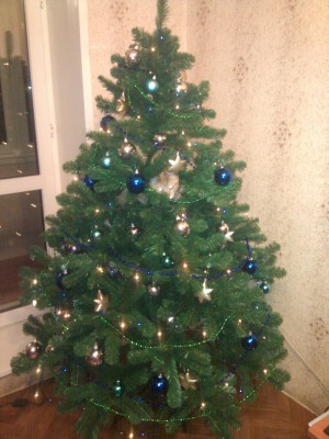 IMG_20101225_012258.jpg