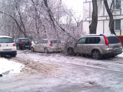26122010054.jpg