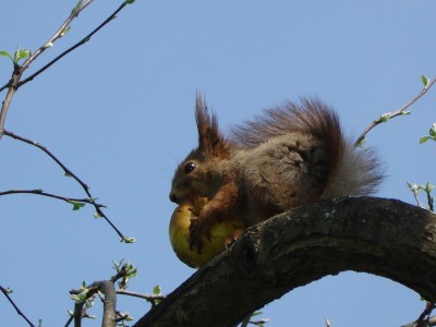 DSC06735.JPG