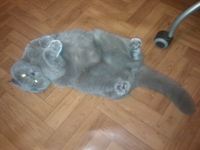 IMG_20110619_230125.jpg