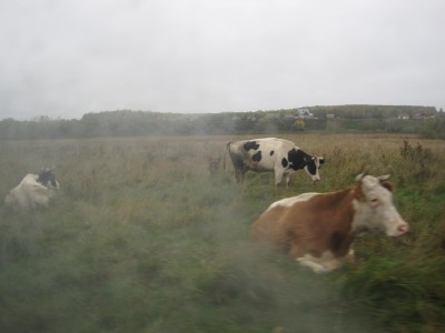 IMG_0032.JPG