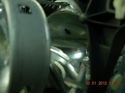DSCN5611.JPG