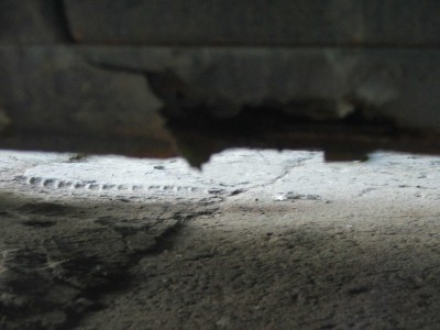 DSCF6359.JPG
