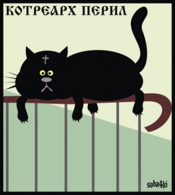 kotrearh.jpg