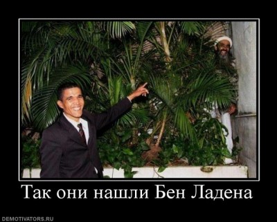418223_tak-oni-nashli-ben-ladena.jpg