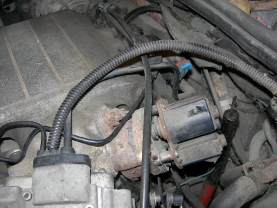 DSCN4835.JPG