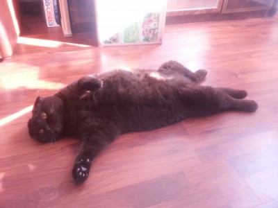 20130308_125726.jpg