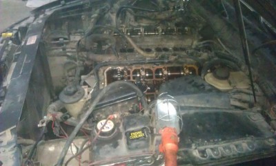 IMAG0142.jpg