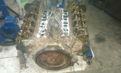 IMAG0145.jpg