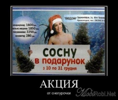 1325715388_xmaz41qw6dstjw7.jpeg