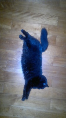 2013-09-13-335.jpg