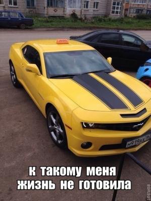 Image-1.png