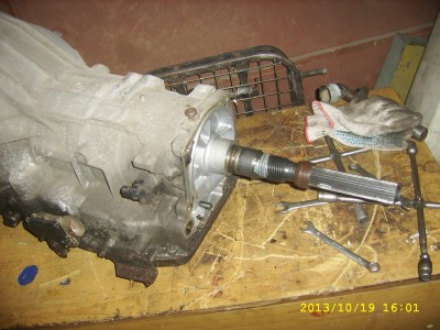 SSA57630.JPG