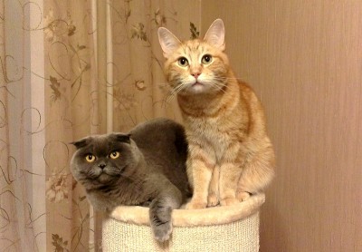 IMAG0019_1.jpg