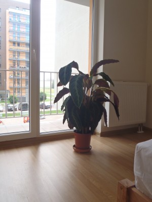 P9150275.JPG