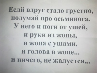 getImageLG14DPLI.jpg