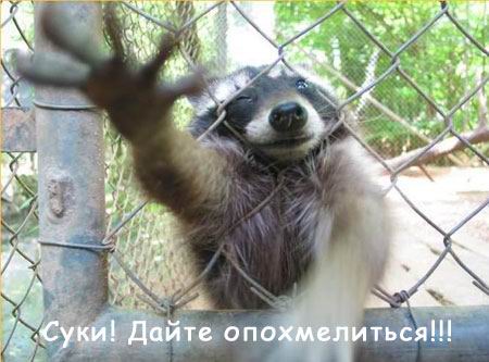 hmel_815.jpg