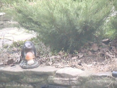 DCAM0071.JPG