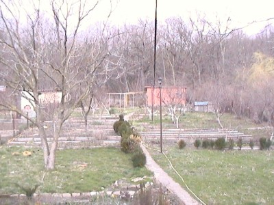 DCAM0075.JPG