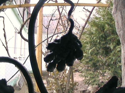 DCAM0098.JPG