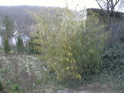 DCAM0146.JPG