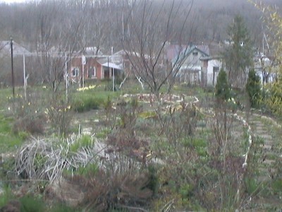 DCAM0147.JPG