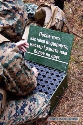 3925859.jpg
