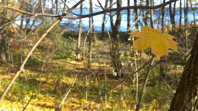 WP_20141019_15_06_06_Pro.jpg