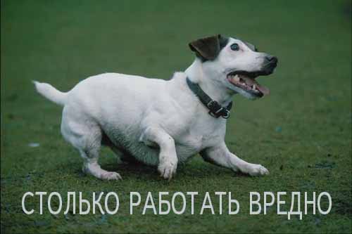Кончай работать, поехали пьянствовать.