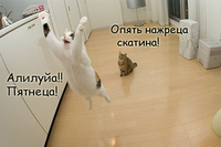 s_h15296.jpg