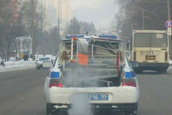 02_kartinki_19985.jpg