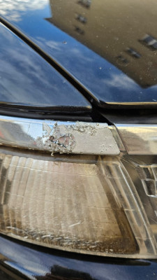 Изображение WhatsApp 2024-10-25 в 18.38.24_8800af87.jpg