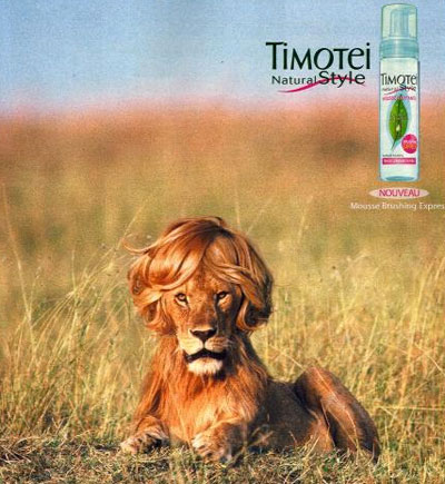 timotey.jpg