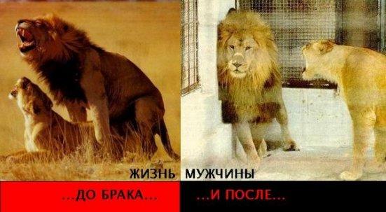 1165391954_____.jpg