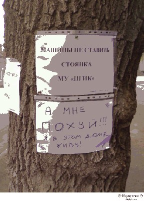 45_pics_ziza.jpg