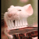 b_h388636.gif