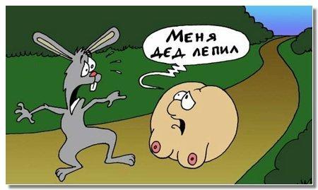 Колобок.jpg
