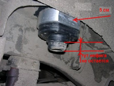 rrspcr2.jpg