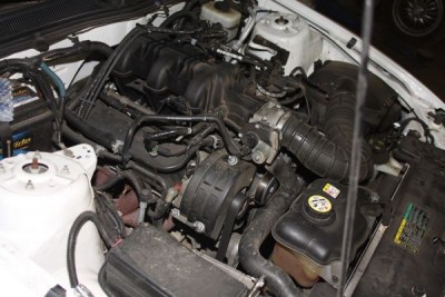 мустанг 2005 5.jpg