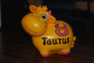 Taurus 2009.JPG