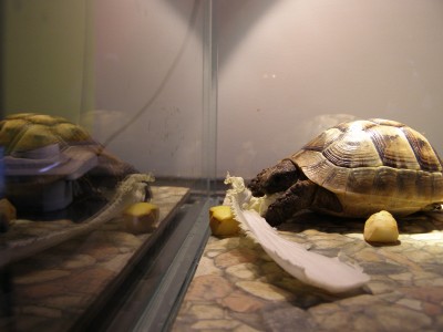 Picture 018.jpg