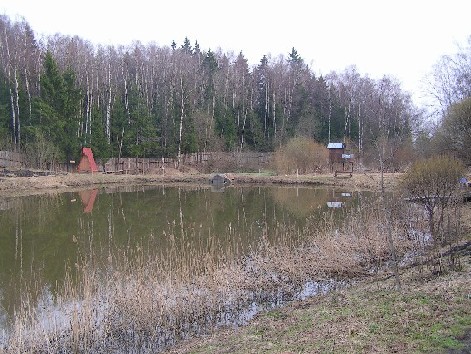 PICT0381.JPG