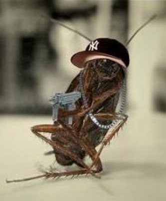 gangsta.jpg (7.05 КБ) 1592 просмотра gangsta.jpg